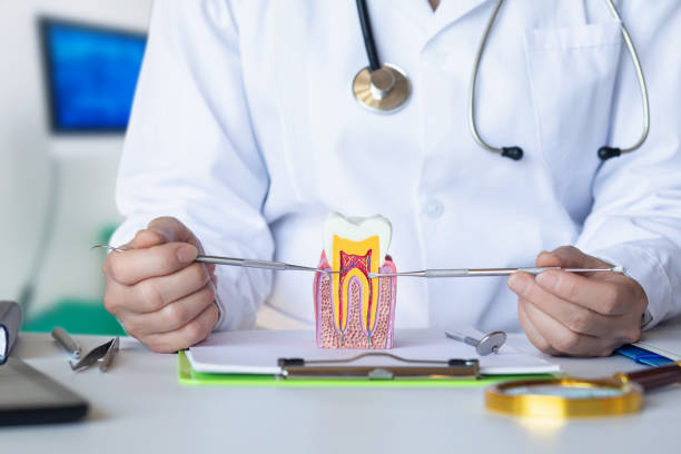 Best Chipped Tooth Repair Near Me  in Central City, NE